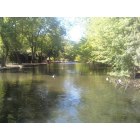 Bridgeton: Cohansey River at the Cohanzick Zoo, Bridgeton, NJ