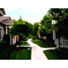 Aliso Viejo: this is a paseo in aliso viejo