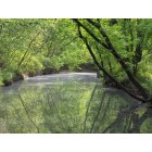 Joplin: Silver Creek in Wildcat Park