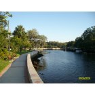 New Port Richey: Cotee River