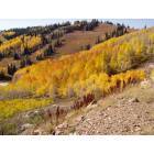 Powder Mountain fall colors