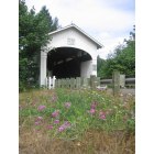 Marcola: : Wendling Covered Bridge Near the Old Town of Wendling
