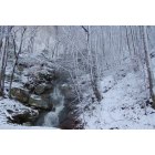 Harlan: Winter Wonderland