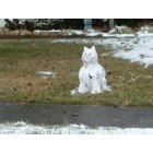Johnson City: : Snow Cat in Glen Oaks, JC