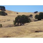 Vacaville: This is a photograph of Vacaville's hills.