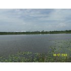 Lake Alfred: : Lake Swoope in the City of Lake Alfred