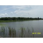 Lake Alfred: : Another view of Lake Swoope