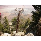 Palm Springs: : Palm Springs Aerial Tram - View from the top of Mt San Jacinto