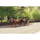 Lexington: Lexington Historical Carriage Ride