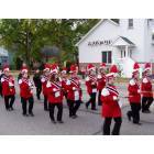 Vandercook Lake: Marching band in homecoming parade
