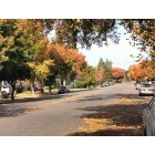 Stockton: : My neighborhood in the fall