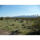 Golden Valley: : Looking out from Crystal Springs Subdivision tothe North