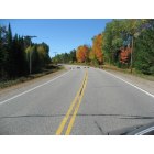 Three Lakes: Why did the turkeys cross the road?