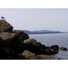 Bellingham: : The Bay from little Squalicum beach