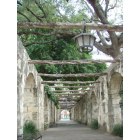 San Antonio: : Walkway at the Alamo