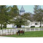Lexington-Fayette: : Horse Farm