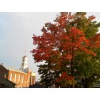 Waterford: Fall foliage on 4th Street (police department builiding tower)