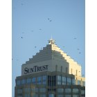 Tampa: : Top of Suntrust Building with Birds