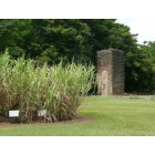 Koloa: Sugarcane & remnants of Old Koloa Sugar Mill