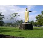 Hilo: : Hilo park statue