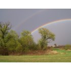 Brownsdale: Rainbow