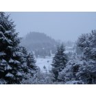 Oakridge: : A winter scene in the foothills of Oakridge
