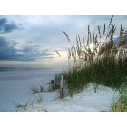 Orange Beach: : evening on the dunes (no retouching or enhancing was done, the only editing on this pic was resizing down for Internet use)