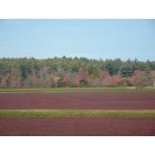 Kingston: cranberry bogs at Bog Hollow Farm, Kingston MA in October 2009