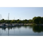 Northport: : Looking back at the marina in Northport