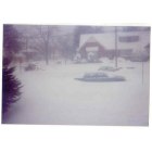 Bellmore: Wilson ave during the blizzard of 1996
