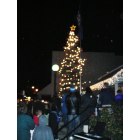 Molalla: Molalla Christmas Tree Lighting