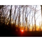 Hasbrouck Heights: : first december sunset at woodland park