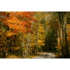 Kiel: : Beautiful Fall Colors Cedar Lake