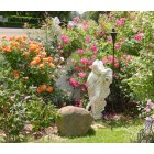 New Rochelle: : Private Gardens of New Rochelle