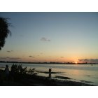 Sarasota: : Claming on the bay