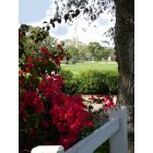 Coral Gables: Riviera Golf Course