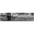 Cincinnati: : Roebling Bridge and Skyline