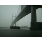 Jacksonville: : Super rain under the Dames Point Bridge