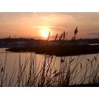 Onset: Green Harbor at sun down