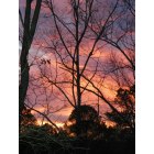 Ellijay: : Afternoon Sunset on the deck