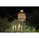 Moultrie: : Lights! Lights! Downtown onThanskgiving Night no. 2