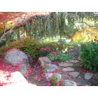 Ashland: : Lithia Park Japanese Garden