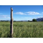 Genola: Just one of many fence posts in the Genola-we are, afterall, a fairly rural area, and the easiest way to mark a property line is with a fence post.
