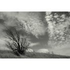 Bartlesville: : Tanks on hill with clouds - Bartlesville, OK