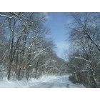 Excelsior Springs: Surrounding snowy trees