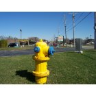 Tinley Park: Fire hydrant in foreground, strip mall and red light camera, looking east on 171st Street from South Harlem Avenue.