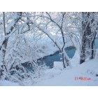 Warrenville: WINTER SNOWY CREEK BEHIND MY HOME