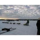 Willow: : Dog Sled races Willow Lake / Willow winter Carnival