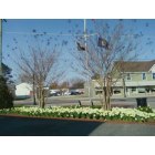 Exmore: : View from Bus Stop in Downtown Exmore in April 2010 with the Daffodils in full bloom