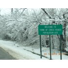 Cross Roads: : "Welcome to Crossroads" near record snowfall morning of 12FEB2010
